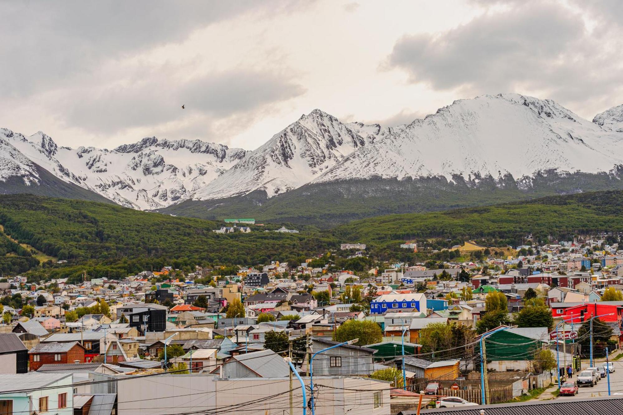 Gray Fox Hy * Ushuaia