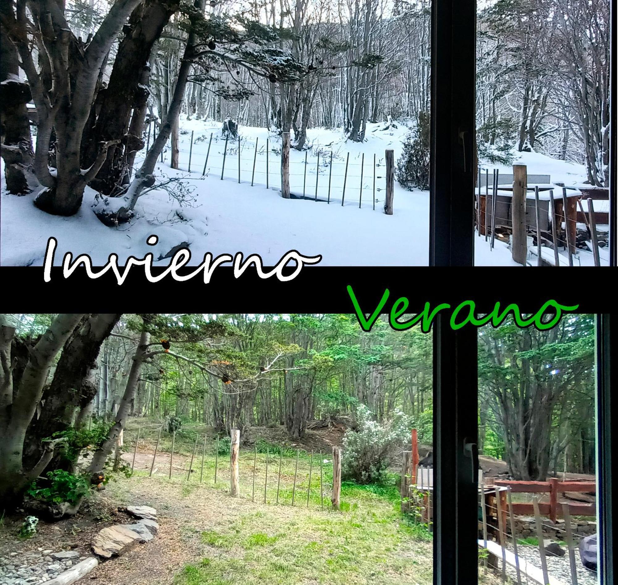 Apartamento Del Bosque *