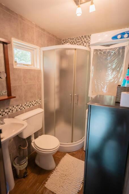 Cabana En El Bosque Con Cine Privado Y Jacuzzi Chalet Ushuaia
