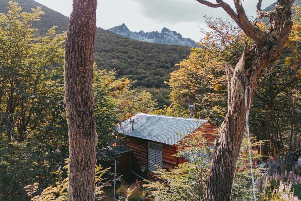 Cabana En El Bosque Con Cine Privado Y Jacuzzi *