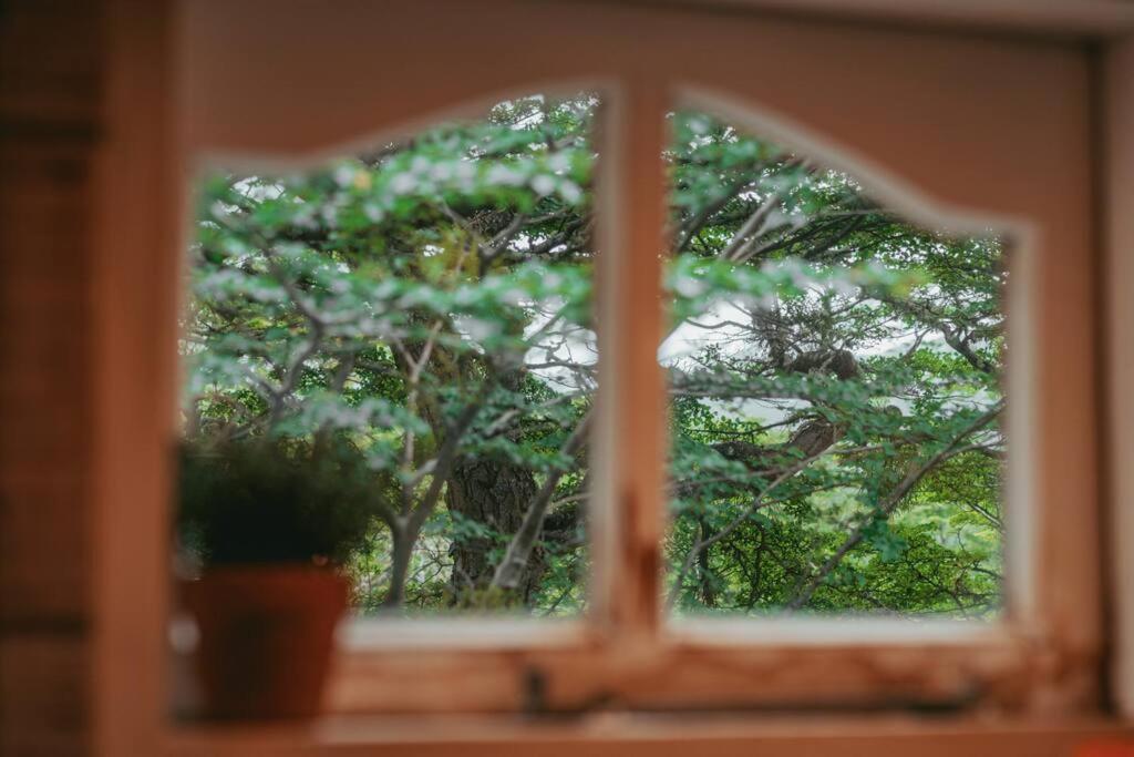 Cabana En El Bosque Con Cine Privado Y Jacuzzi Chalet