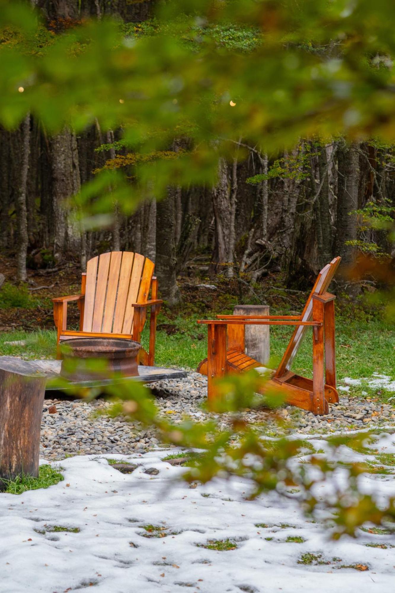 En El Bosque De Llanos Del Castor * Ushuaia