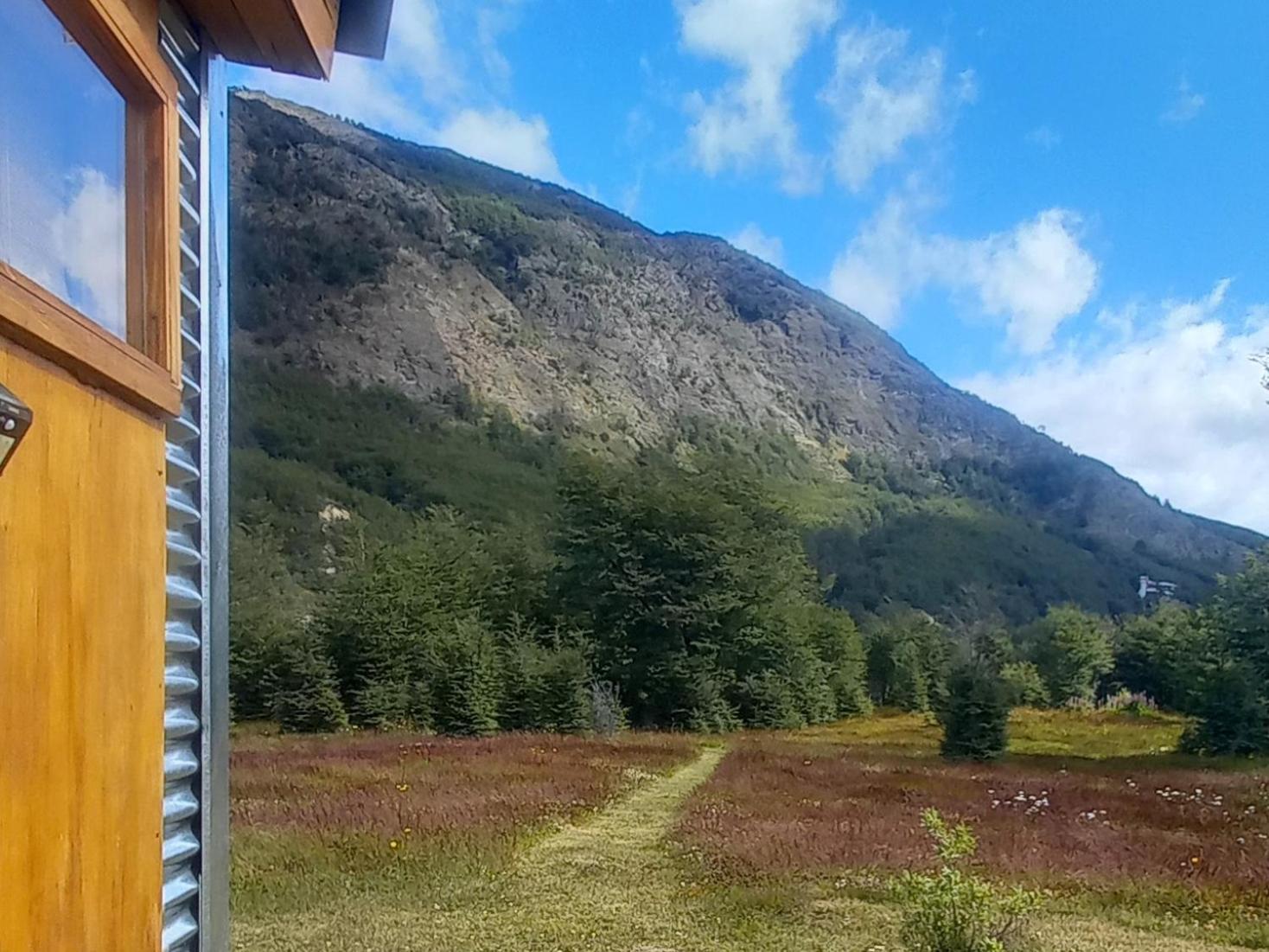 La Del Campo