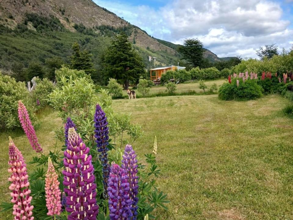 La Del Campo Camping *