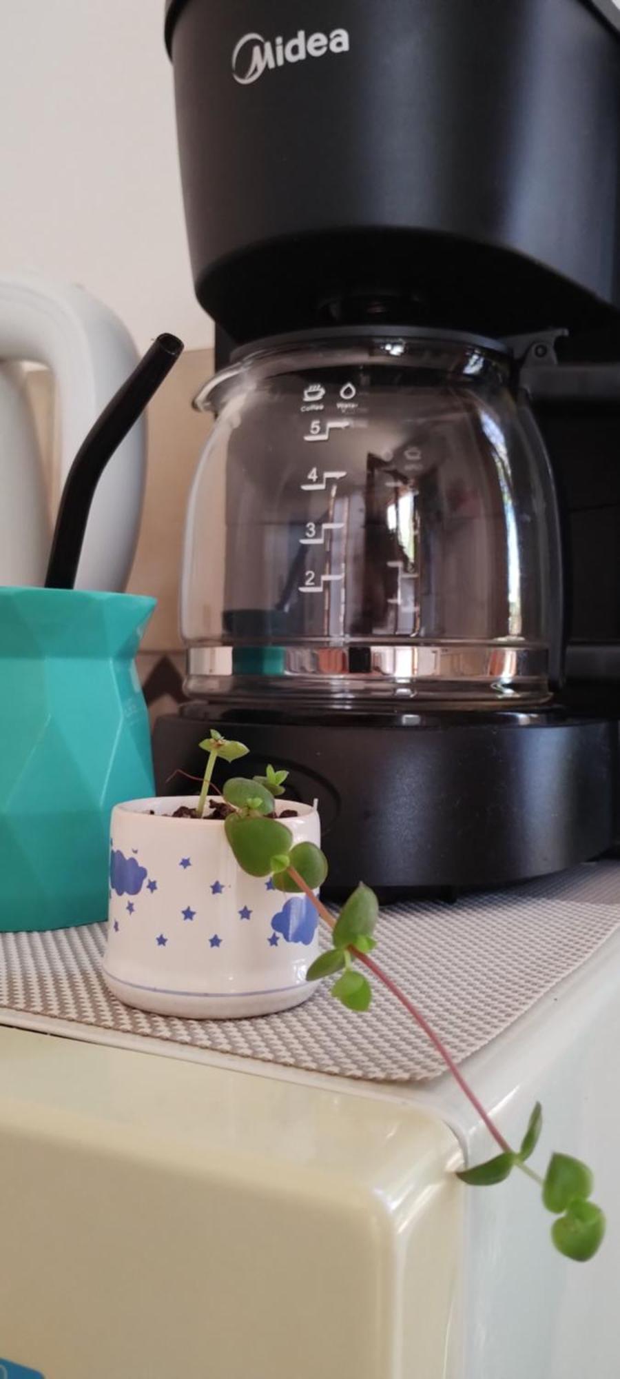 Apartamento Casa Cronopio