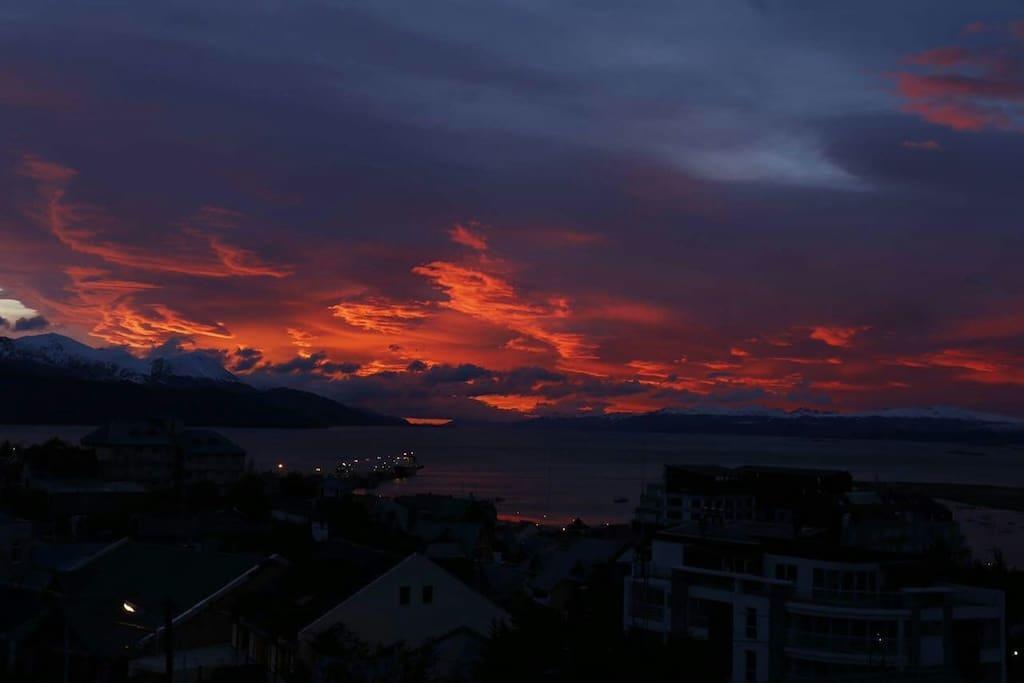 Arboles 3* Ushuaia