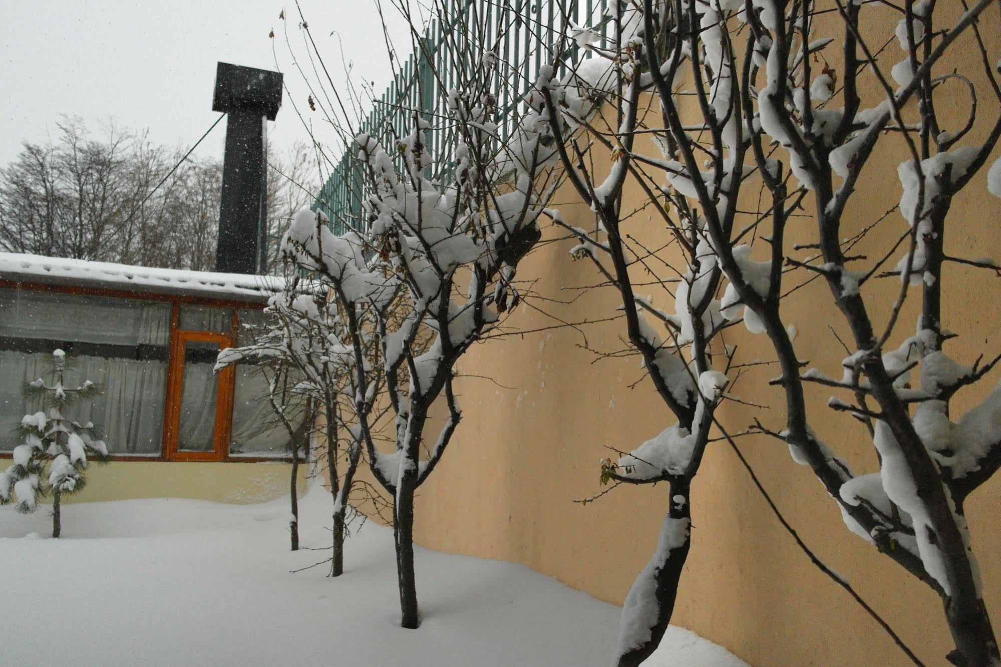 Hostal Los Coihues