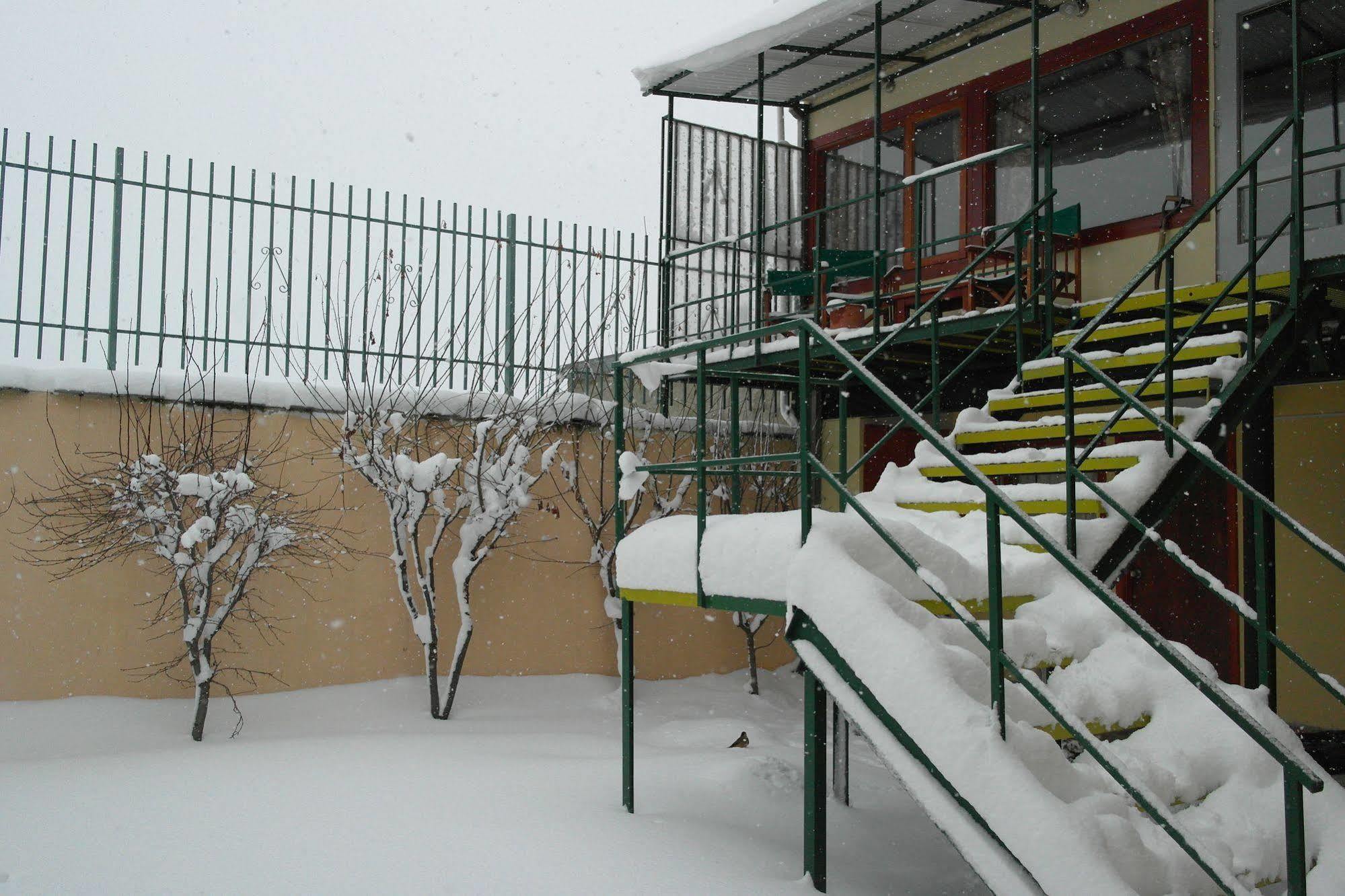 Los Coihues Hostal
