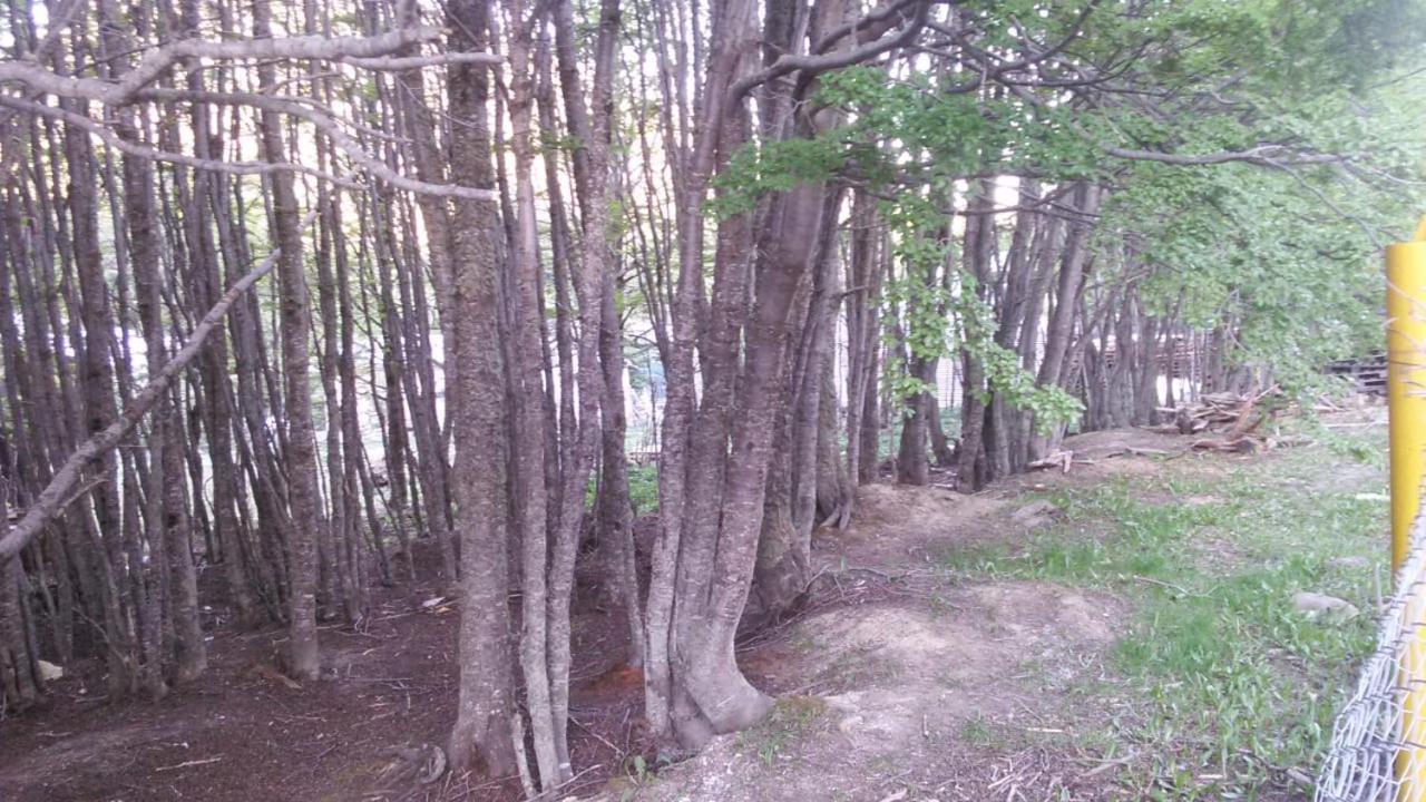 Camping La Encantada * Ushuaia