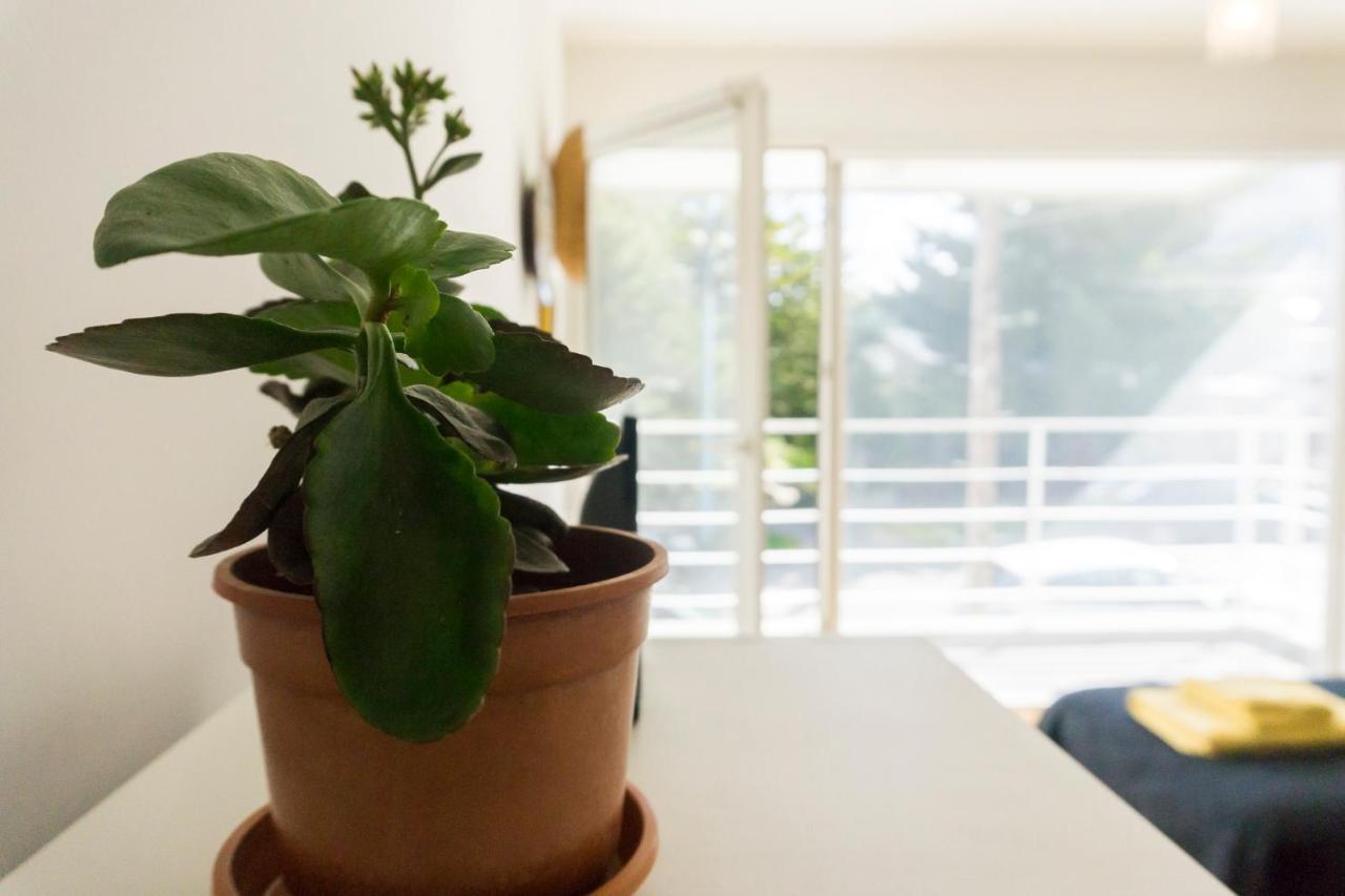 Gente Del Sur - Onas Apartment *