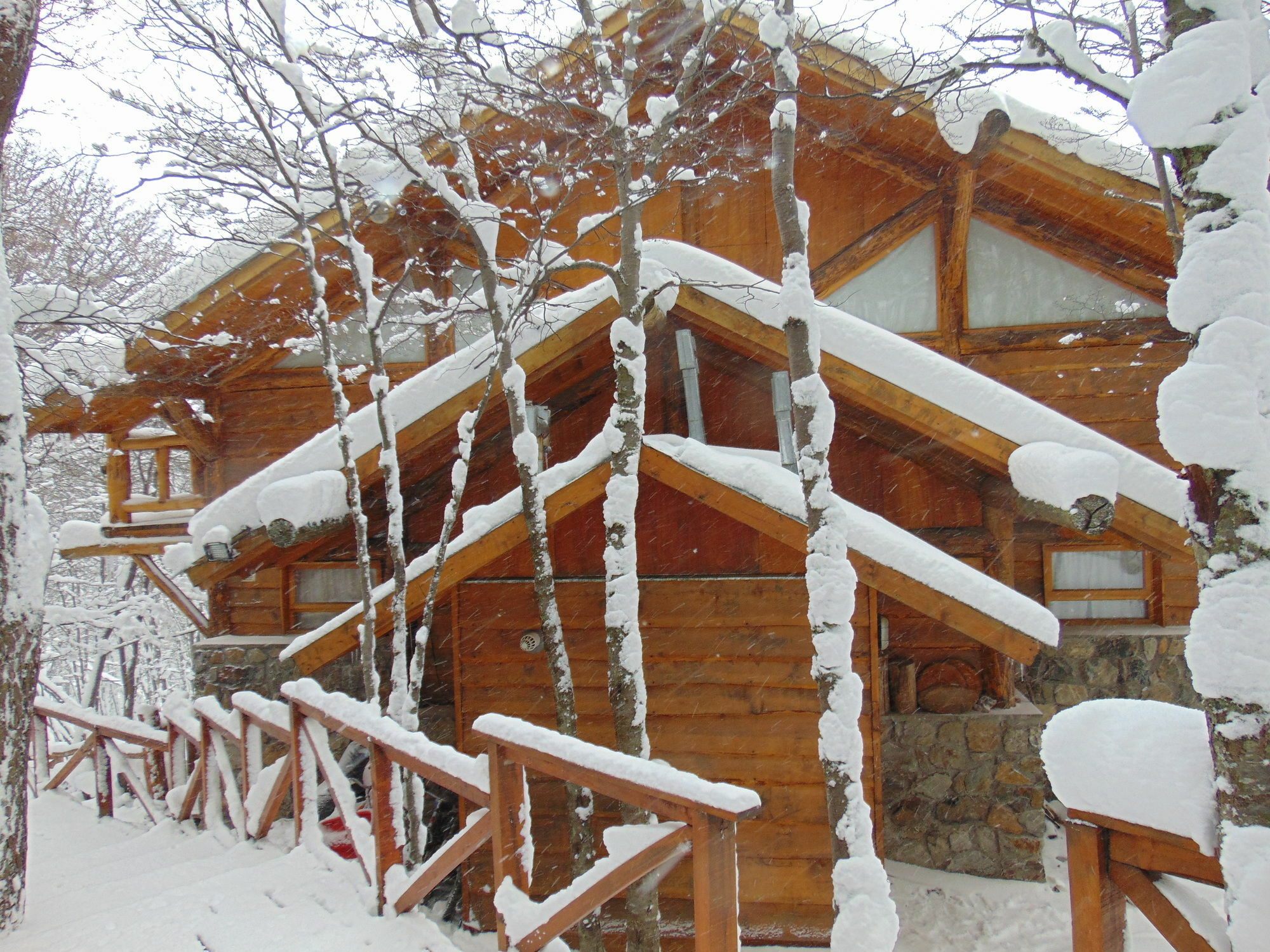 Patagonia Alojamento *