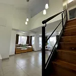 Lapataia A